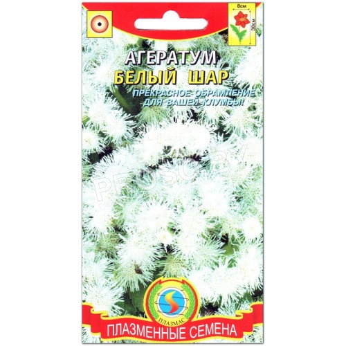 Агератум Белый шар-1