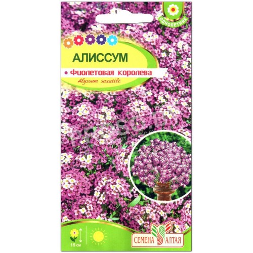 Алиссум Фиолетовая королева-1