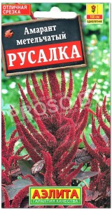 Амарант метельчатый Русалка