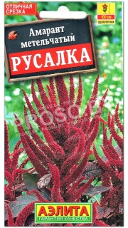Амарант метельчатый Русалка