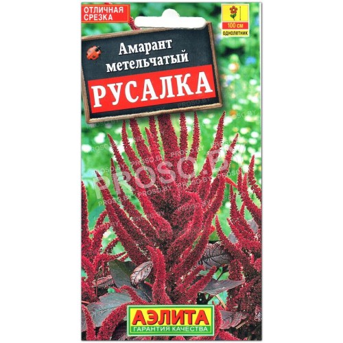 Амарант метельчатый Русалка