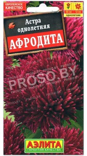 Астра Афродита