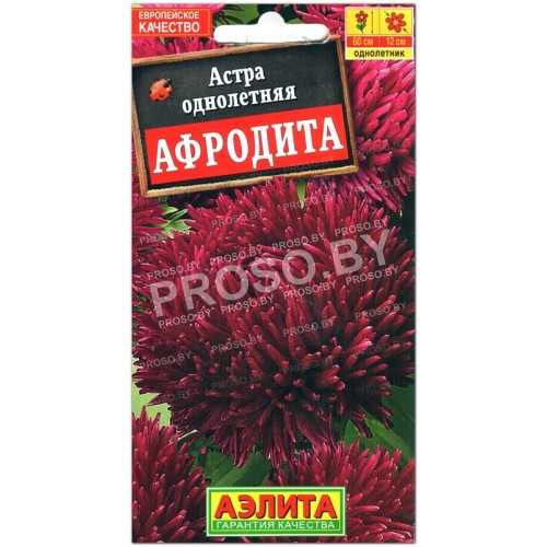 Астра Афродита