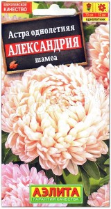 Астра Александрия шамоа