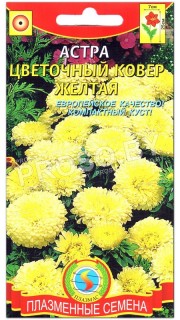 Астра Цветочный ковер желтая