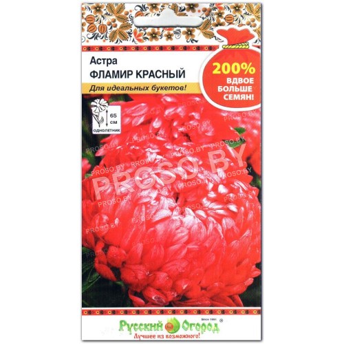 Астра Фламир Красный