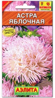 Астра Яблочная