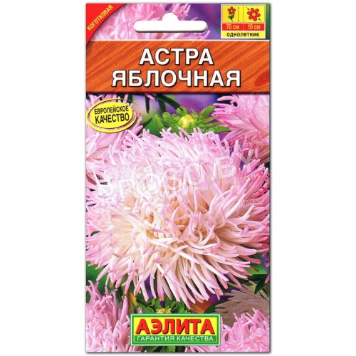 Астра Яблочная