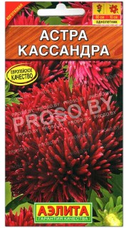 Астра Кассандра