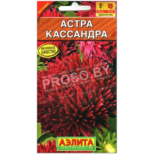 Астра Кассандра