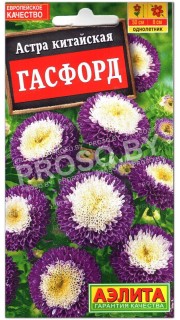 Астра китайская Гасфорд