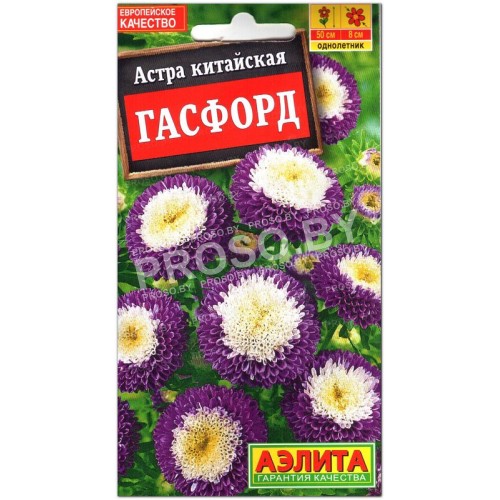 Астра китайская Гасфорд
