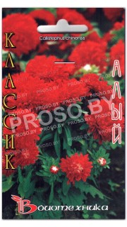 Астра китайская Классик алый