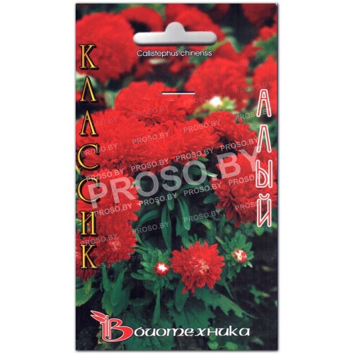 Астра китайская Классик алый