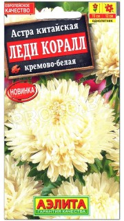 Астра китайская Леди Коралл кремово-белая
