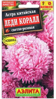 Астра китайская Леди Коралл светло-розовая