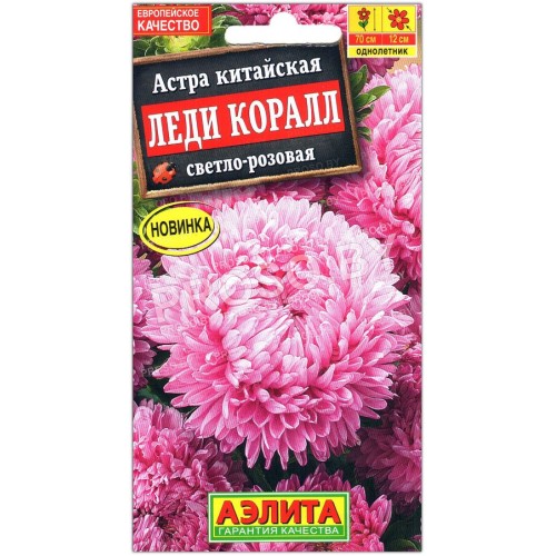 Астра китайская Леди Коралл светло-розовая