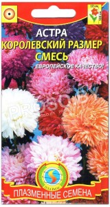 Астра Королевский размер, смесь