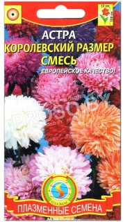 Астра Королевский размер, смесь