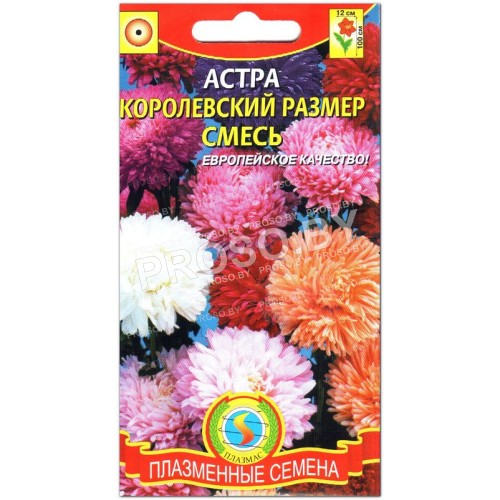 Астра Королевский размер, смесь