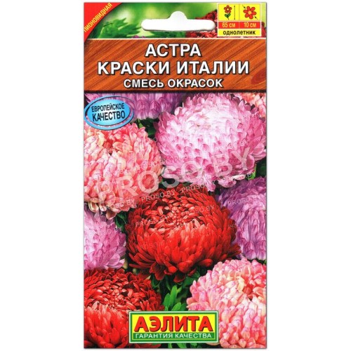 Астра Краски Италии, смесь