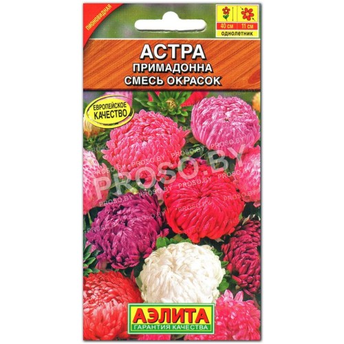 Астра Примадонна, смесь