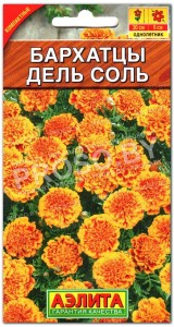 Бархатцы Дель соль