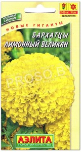 Бархатцы Лимонный великан