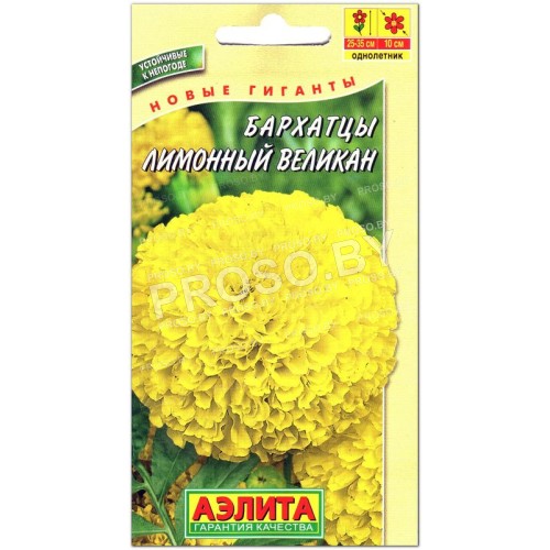 Бархатцы Лимонный великан
