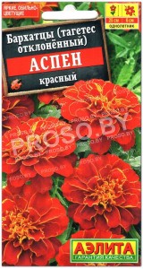 Бархатцы отклоненные Аспен красный