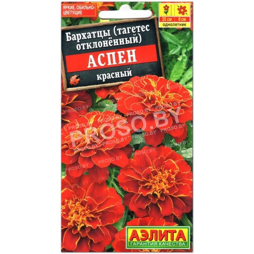 Бархатцы отклоненные Аспен красный