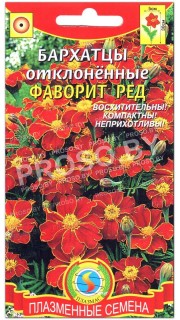 Бархатцы отклоненные Фаворит ред