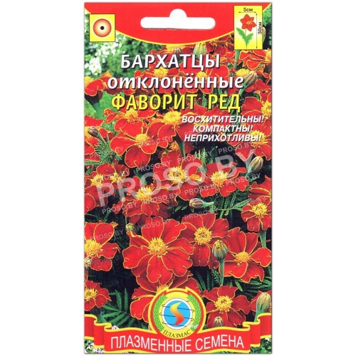 Бархатцы отклоненные Фаворит ред
