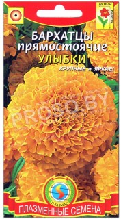 Бархатцы прямостоячие Улыбки