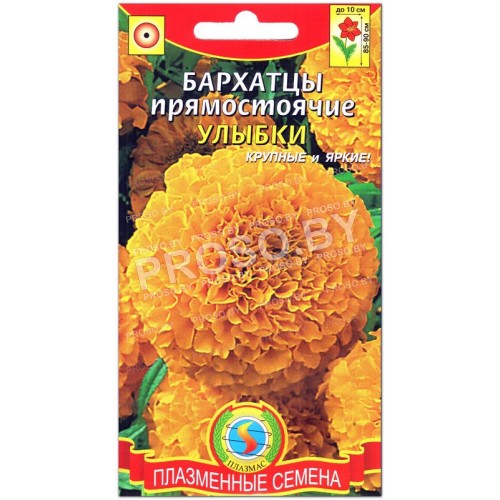 Бархатцы прямостоячие Улыбки