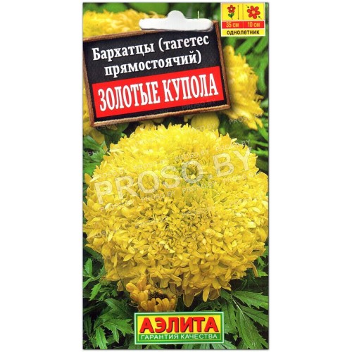 Бархатцы прямостоячие Золотые купола-1