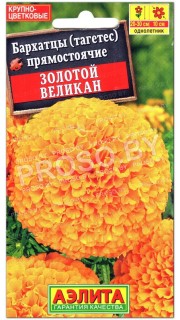 Бархатцы прямостоячие Золотой великан