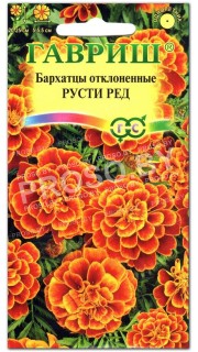 Бархатцы Русти ред, отклоненные