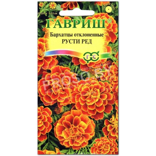 Бархатцы Русти ред, отклоненные