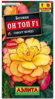 Бегония Он топ сансет шэйдз F1
