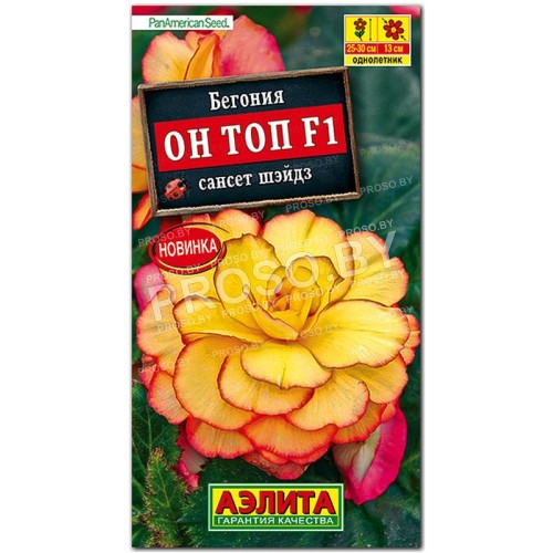 Бегония Он топ сансет шэйдз F1