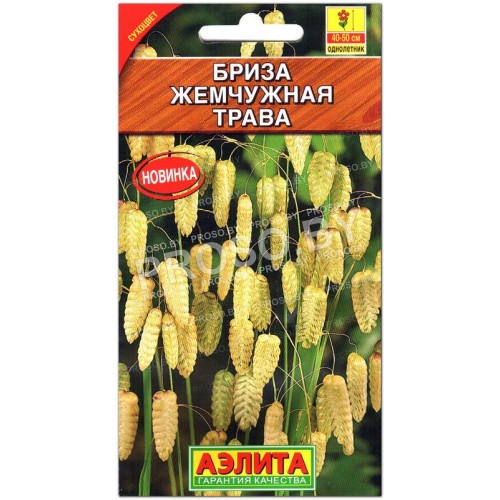 Бриза Жемчужная трава