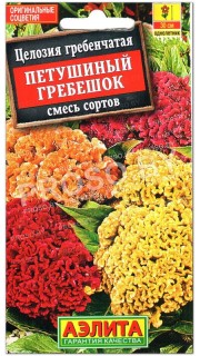 Целозия гребенчатая Петушиный гребешок, смесь