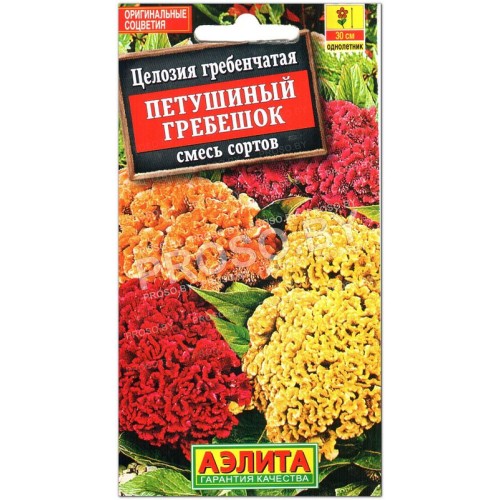 Целозия гребенчатая Петушиный гребешок, смесь