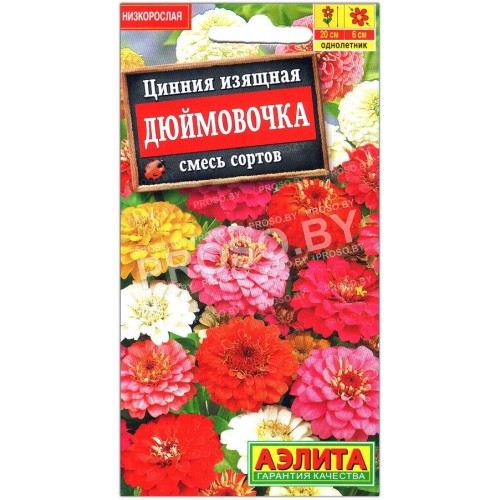 Цинния изящная Дюймовочка, смесь