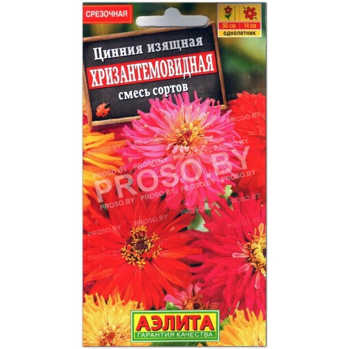Цинния изящная Хризантемовидная, смесь