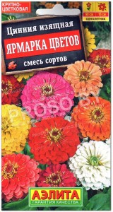 Цинния изящная Ярмарка цветов, смесь