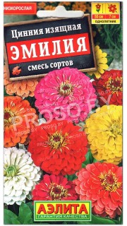 Цинния изящная Эмилия, смесь