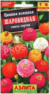 Цинния изящная Шаровидная, смесь