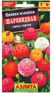 Цинния изящная Шаровидная, смесь